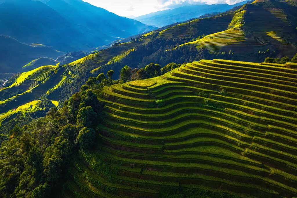 Drone aerial view of rice terrace field of La Pan Tan near Sapa, Vietnam