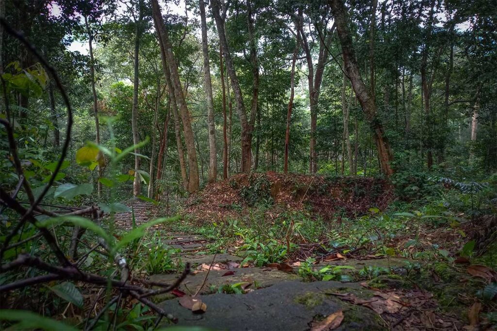 A jungle trail for trekking in Botanical Garden in Phong Nha