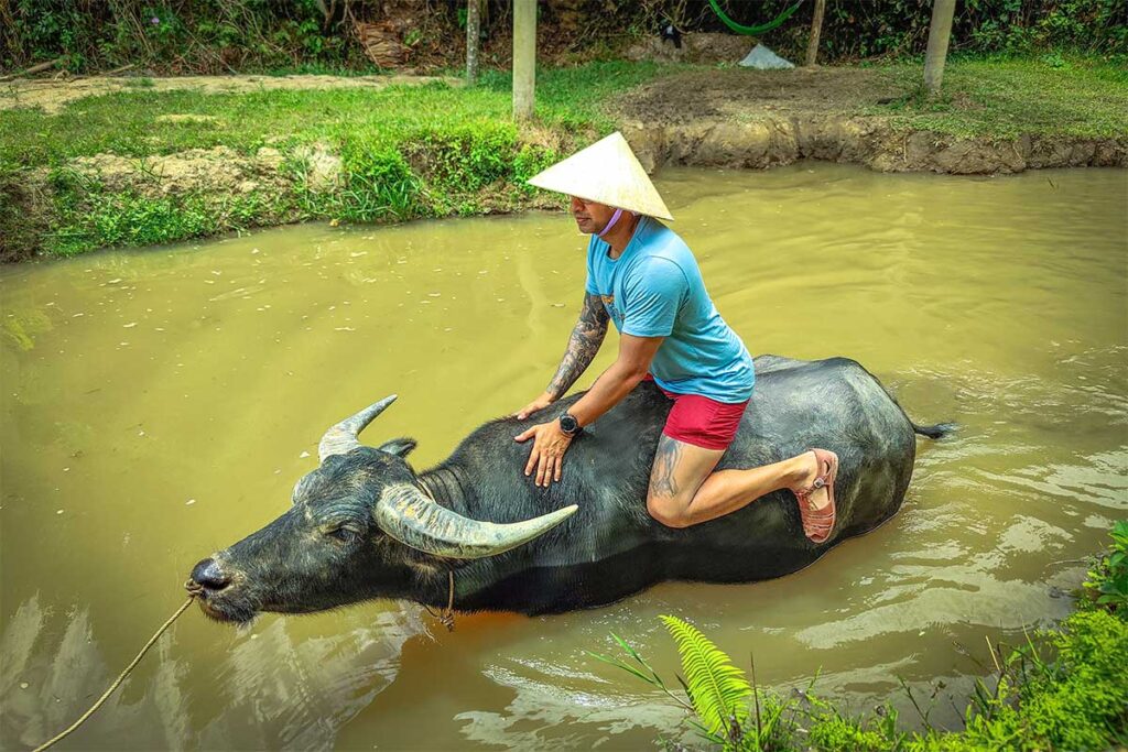 A tourist riding a buffalo through the water at The Duck Stop