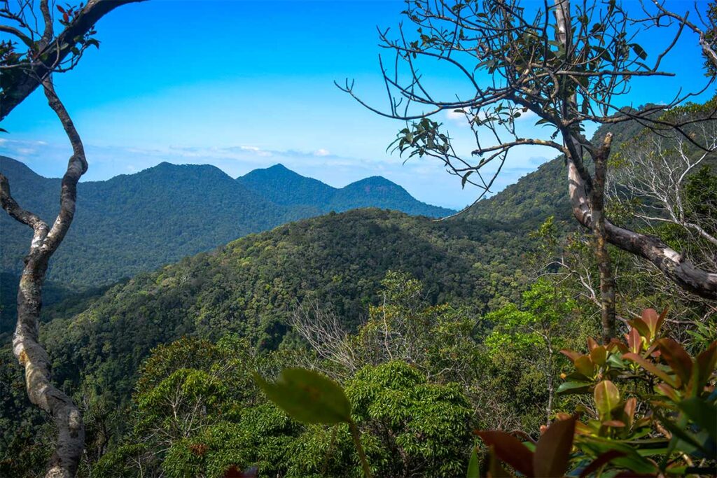 Mountains and jungles of Chu Mom Ray National Park in Kon Tum, Vietnam