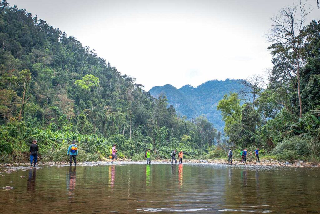 Travelers trekking through a river in the Phong Nha jungle to get to the entrance of Hang En Cave