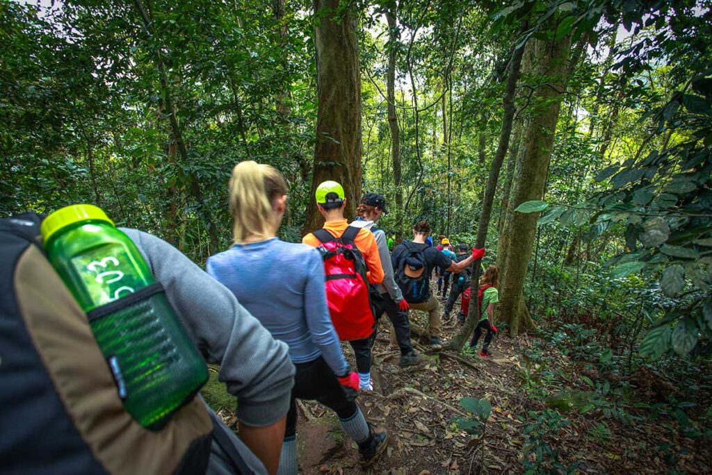 Jungle trekking in Phong Nha National Park to get to the Hang En Cave entrance