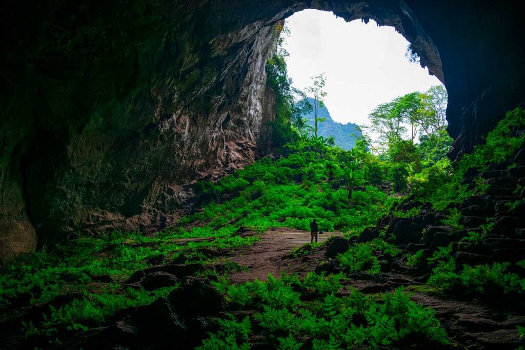 Huge cave opening of Hang Pygmy Cave in Phong Nha