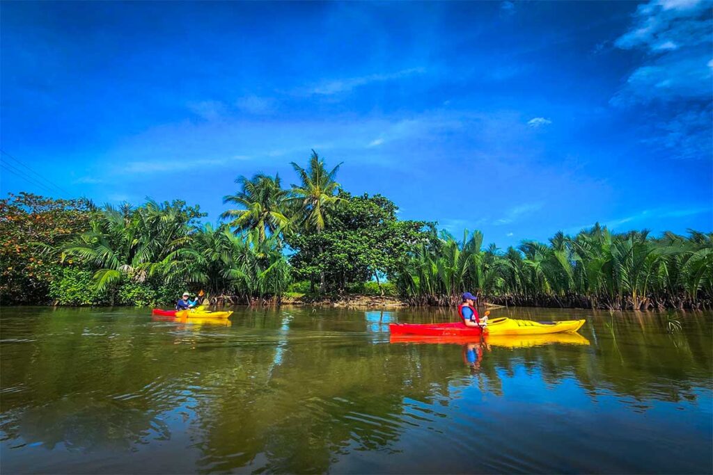 Kayaking through the mangrove forest of Hoi An