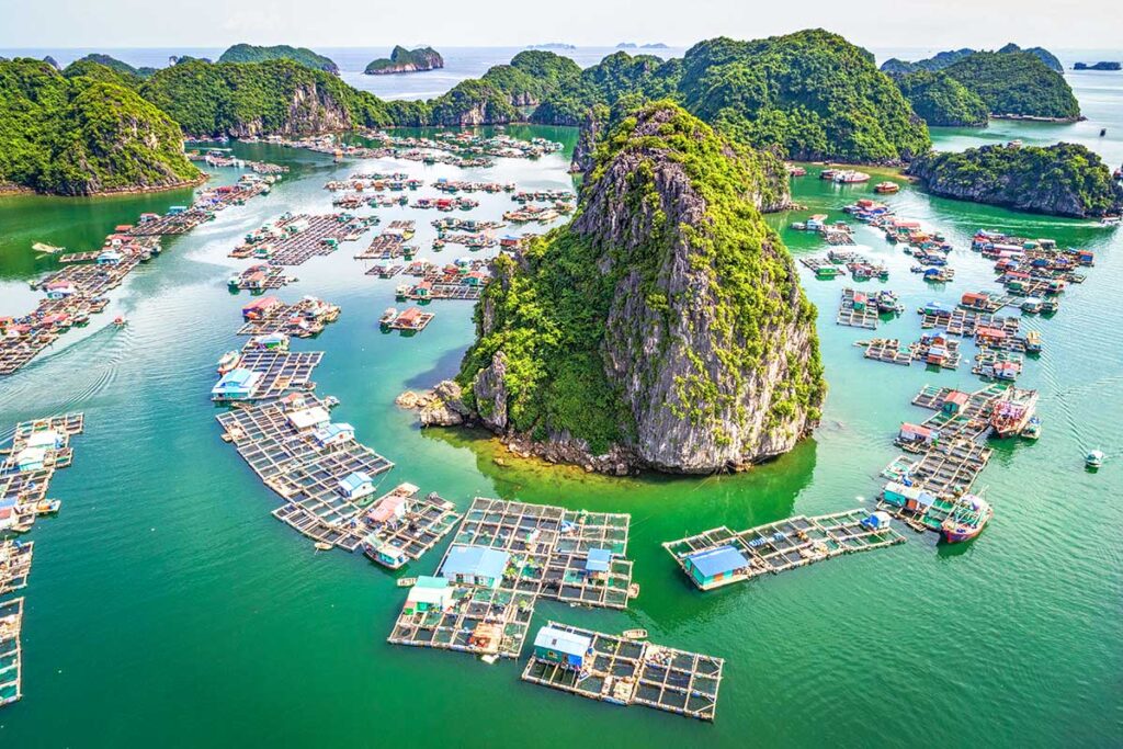 Floating village in Lan Ha Bay