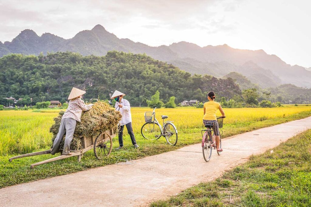 Cycling through the Vietnam's countryside with rice fields in Mai Chau 