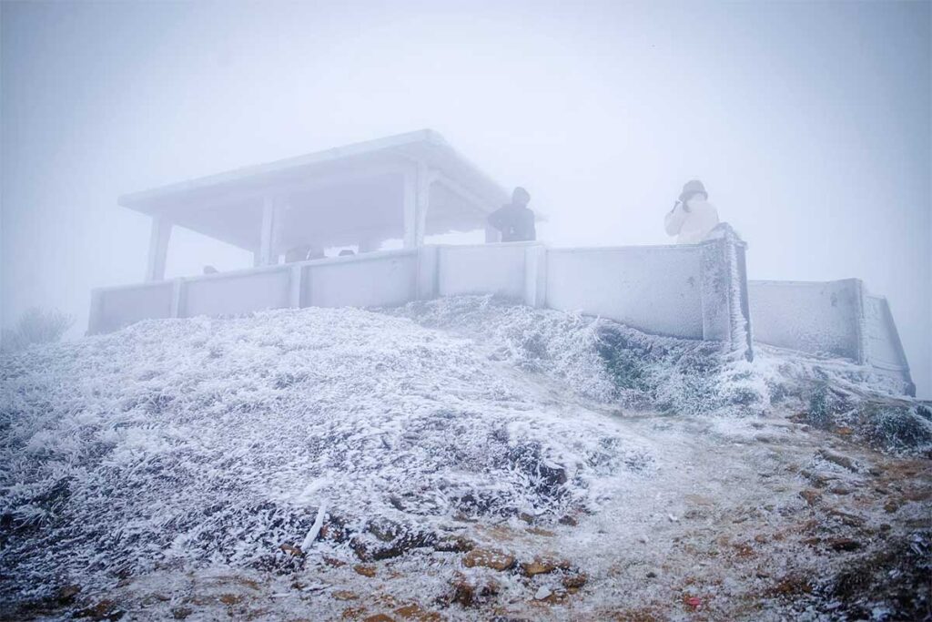 Frost on top of Mau Son Mountain in Vietnam