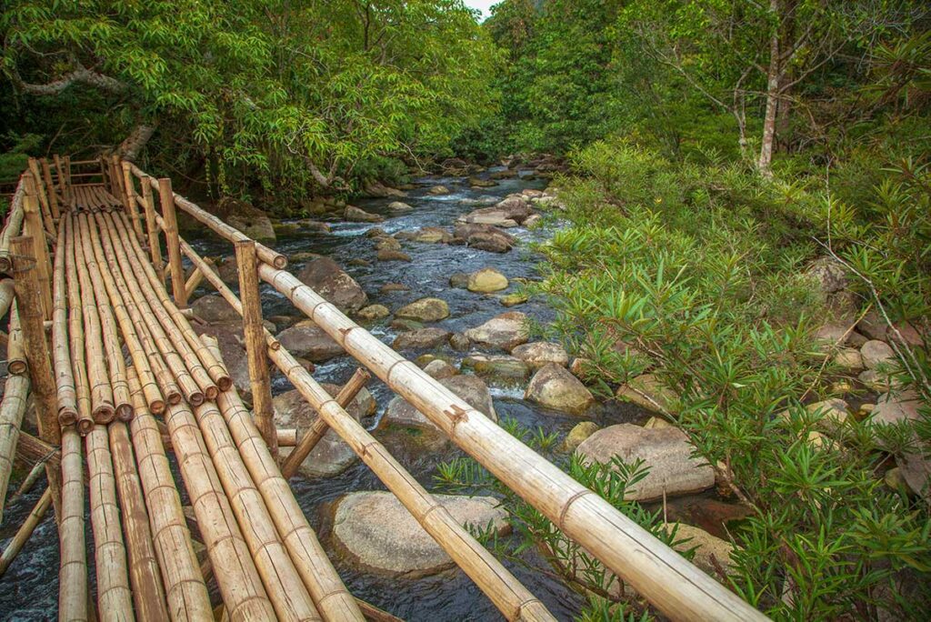 A bamboo path and bridge crossing a small stream at Mooc Spring in Phong Nha