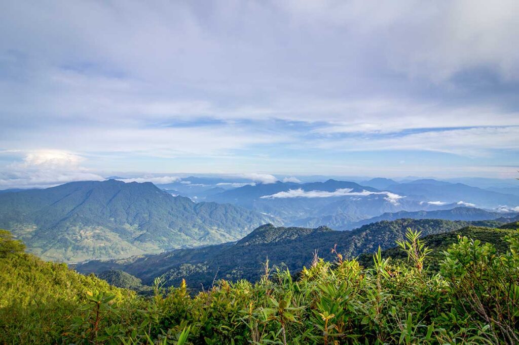 Ngoc Linh Mountain - The highest mountain in Kon Tum province, part of the Central Highlands of Vietnam