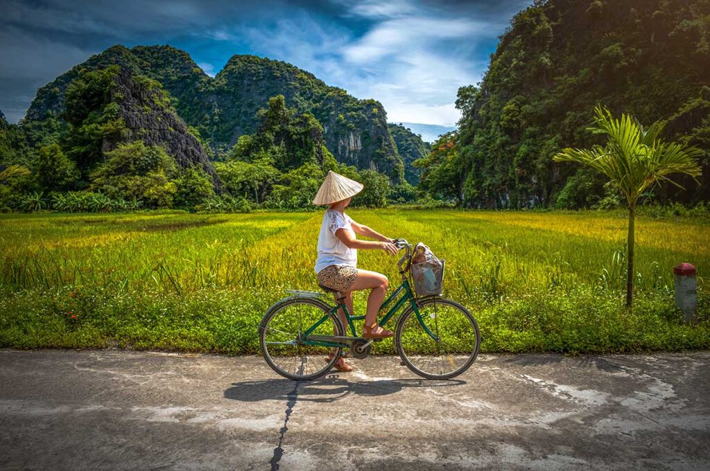 A woman tourist cycling along the rice fields in Ninh Binh's countryside in Vietnam