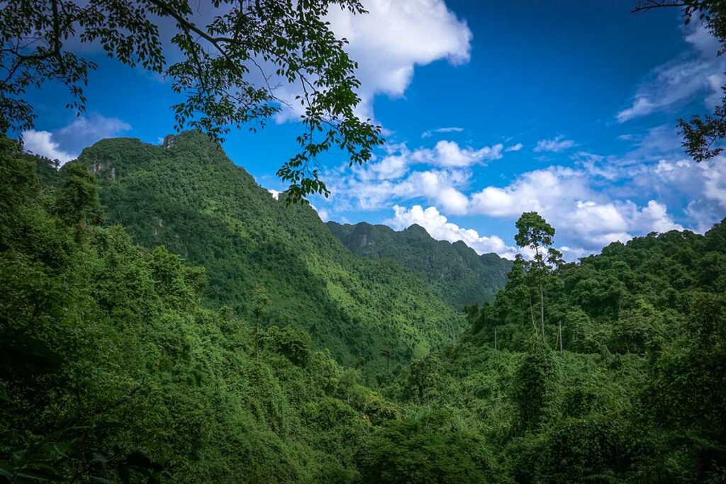 Vietnam mountains and jungle in Phong Nha-Ke Bang National Park