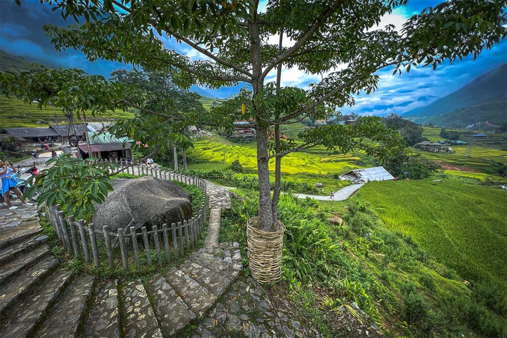 Sapa Ancient rock field