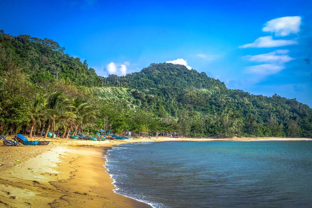 A serene beach lined with palm trees on Son Tra Peninsula, showcasing its natural beauty.