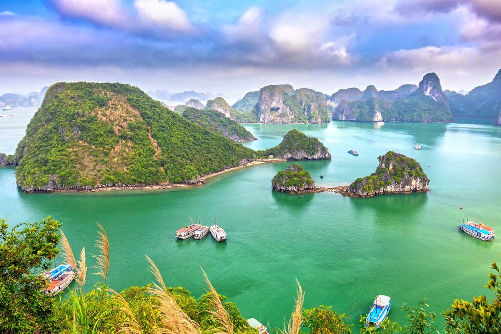 The view over many rocks and island of Halong Bay from the viewpoint on top of Ti Top Island - One of tbe best viewpoints in Vietnam