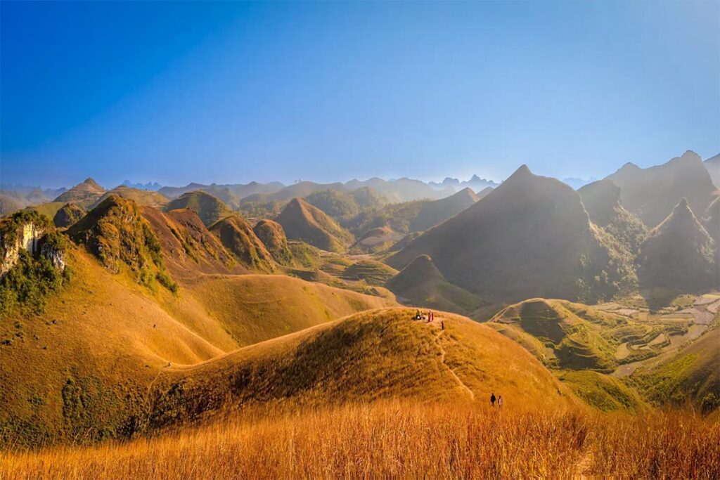 Stunning sight of golden yellow grass hills of Vinh Quy Grass Hill in Cao Bang