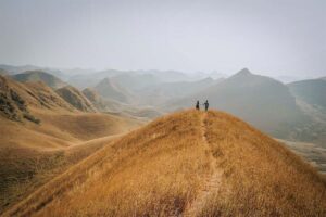 Yellow grass at Vinh Quy Grass Hill in Cao Bang Province