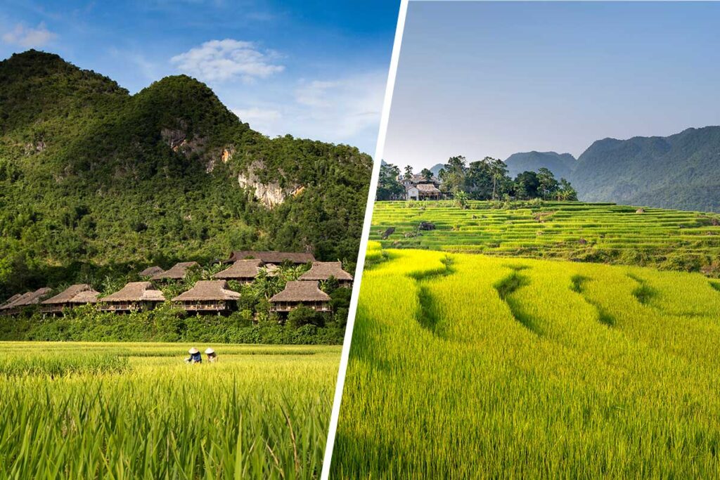 Mai Chau and Pu Luong combination tour