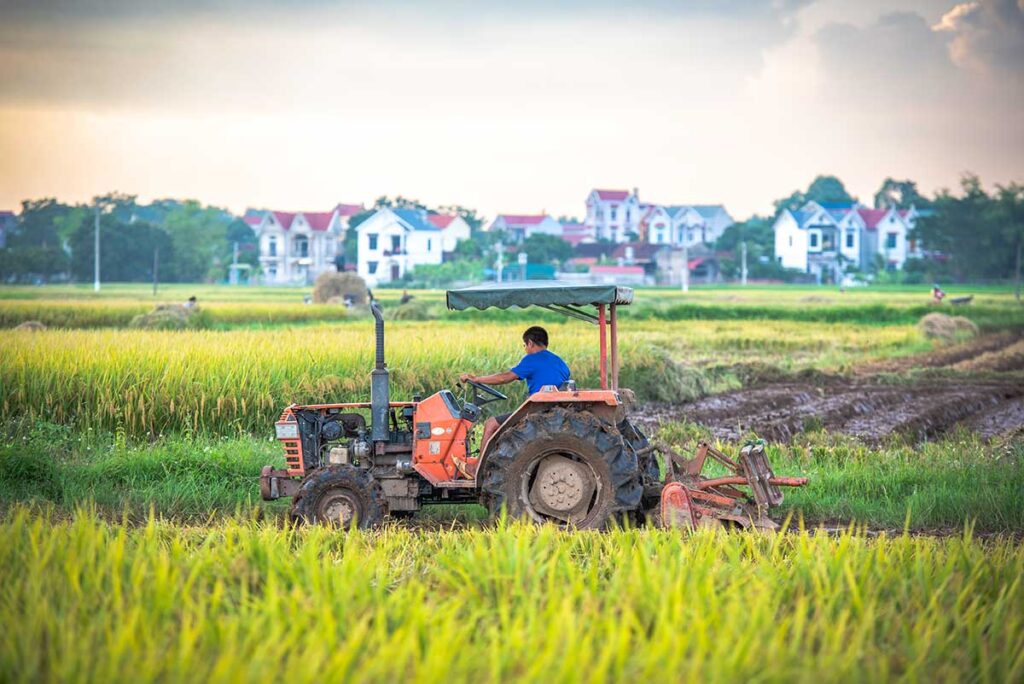 A local farmer on a tractor working on a rice field in Bac Giang