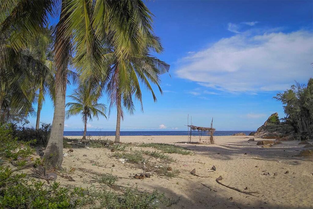 Bai Om Beach in Phu Yen with tall palm trees, rustic hut, golden sand, and a tranquil coastline under blue skies