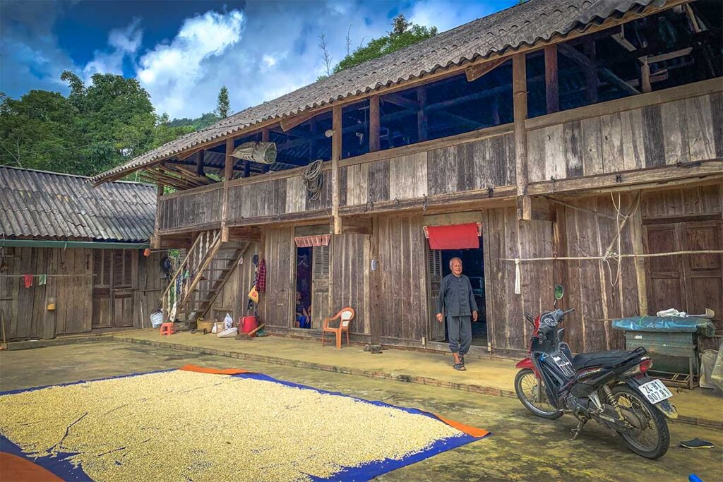 A elederly ethnic man stepping outside is traditional wooden house and rice being dried in the courtyard of his house in Ban Pho Village in Bac Ha Disitrct