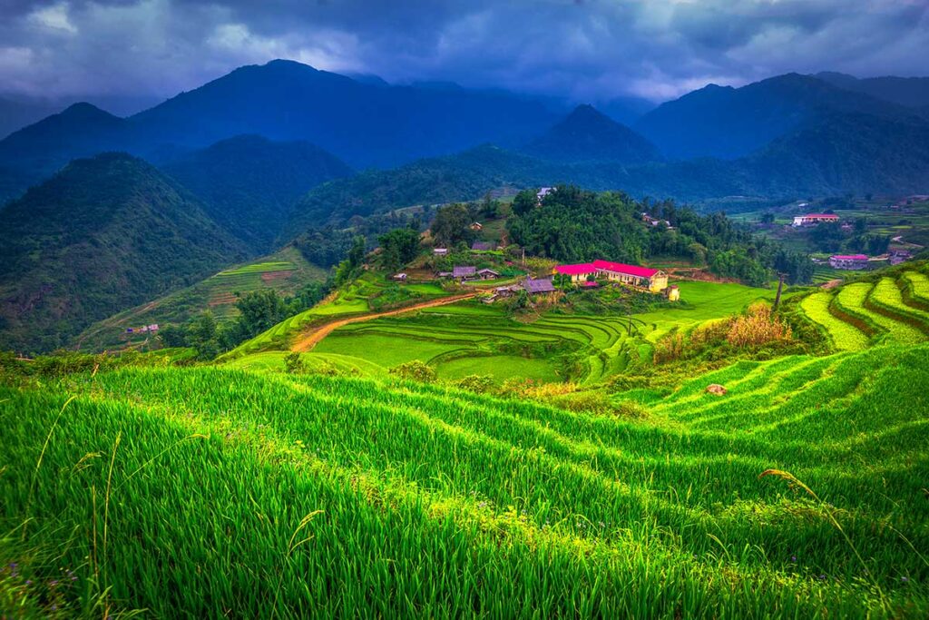 Terraced rice fields you see while doing a trekking around Cat Cat Village near Sapa