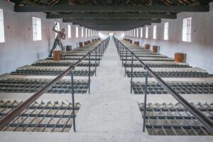A view from above Con Dao’s infamous Tiger Cages, showing a guard figure using a stick to poke through the bars into the cramped cells below.