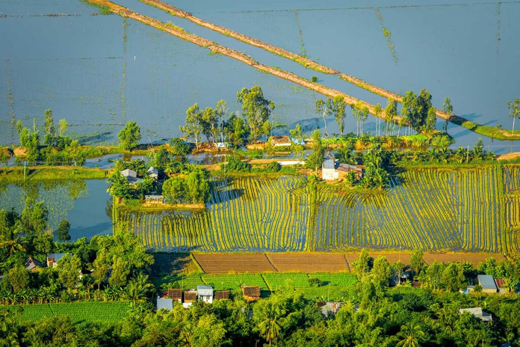 Elevated view of flooded rice paddies and farmhouses in Kien Giang Province during the wet season, with rural dikes cutting through the fields.