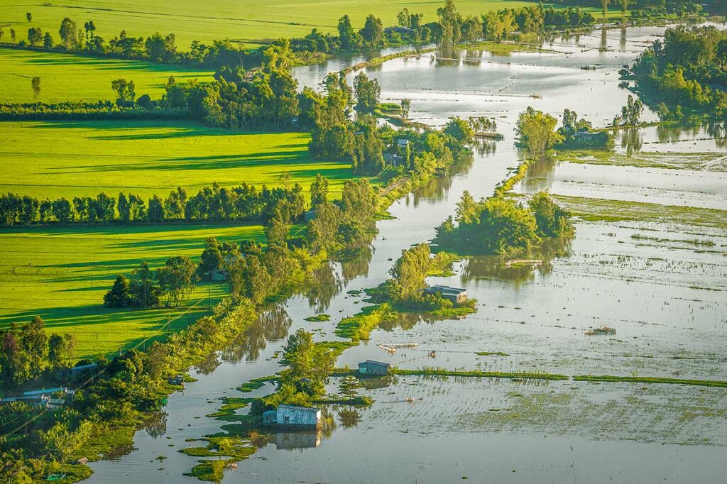 Aerial view of the Mekong Delta’s flooded rice fields and stilt houses in Kien Giang Province during the annual high-water season.