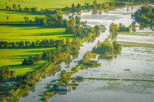 Aerial view of the Mekong Delta’s flooded rice fields and stilt houses in Kien Giang Province during the annual high-water season.