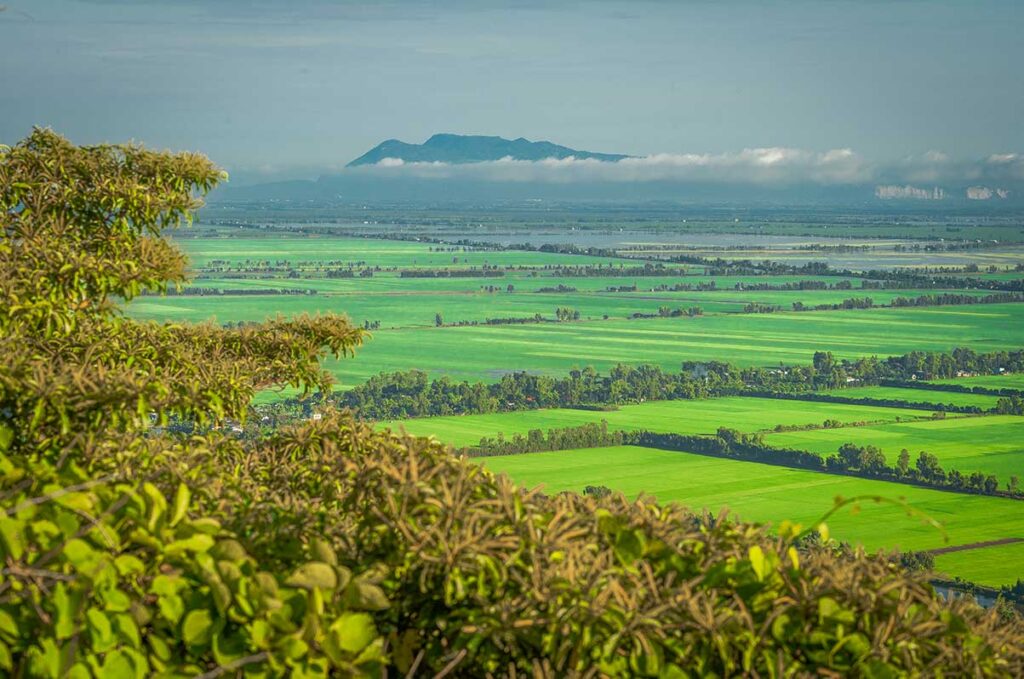 Vast green rice fields and waterways stretching across the Mekong Delta landscape in Kien Giang, with Ba Nui hills visible in the distance.