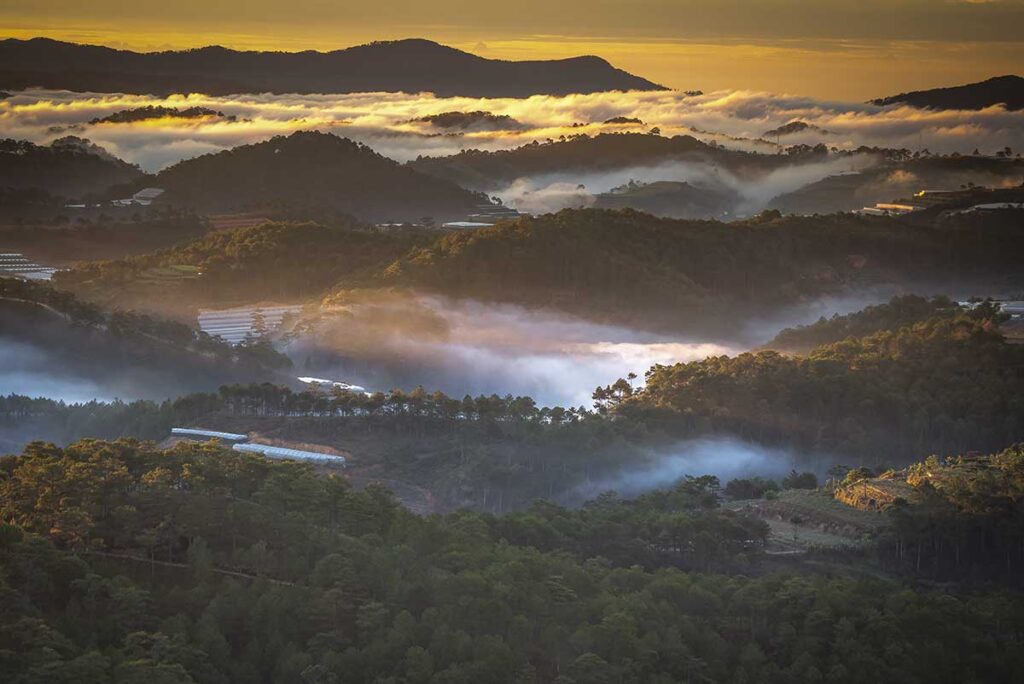 Morning mist covering hills around Da Lat, with soft golden light and layers of clouds drifting through the valley
