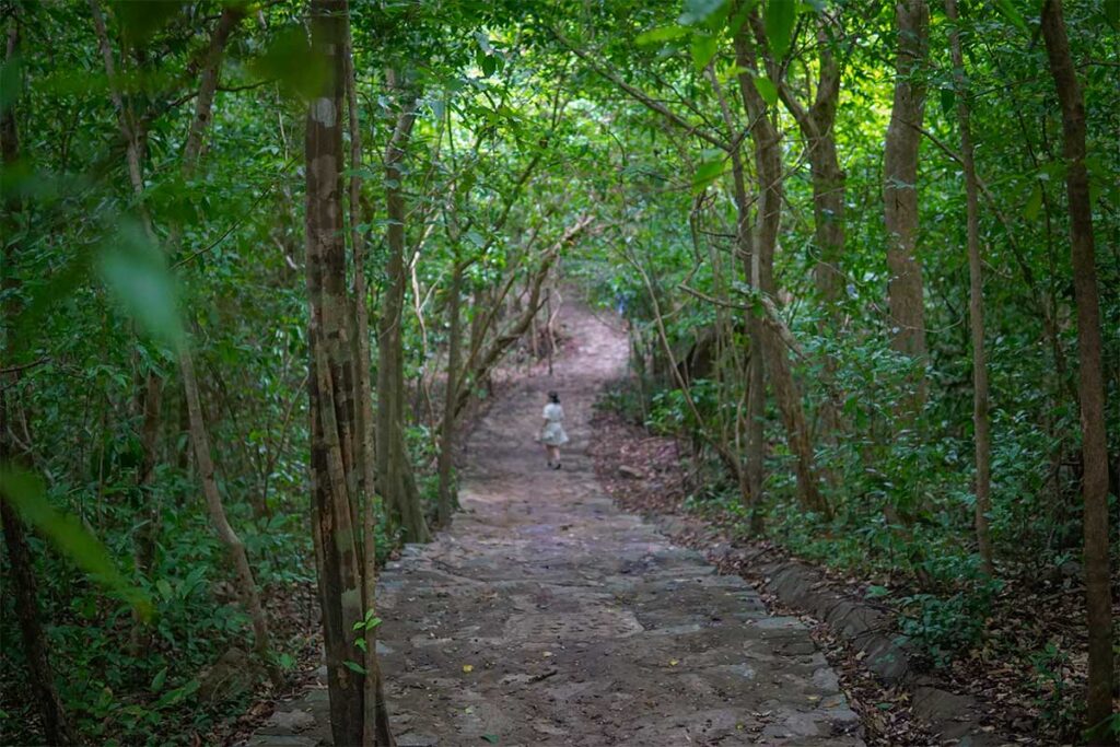 Forest path leading through shaded jungle toward Dat Tham Beach in Con Dao National Park, with a lone traveler walking along the quiet trail