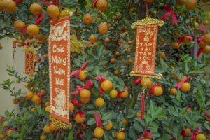 Decorations for Tet Lunar New Year in Hoi An, with kumquat trees and red banners wishing prosperity and happiness in Vietnamese.
