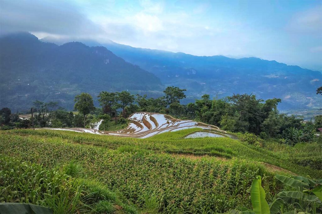 The Hong Thai Terraced Rice fields in off season