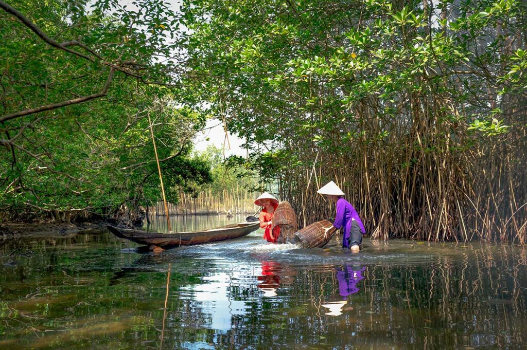 Local women fishing in shallow water among trees, using traditional baskets and nets in a quiet rural setting in Vietnam