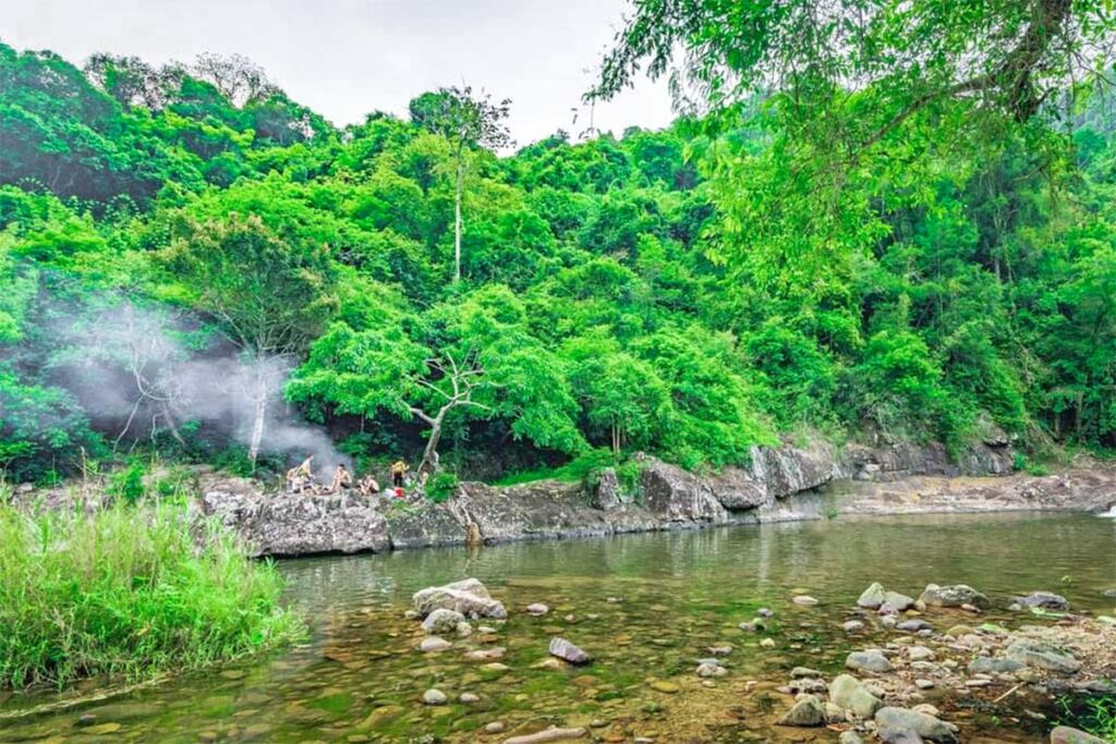 Khe Ro Primitive Forest