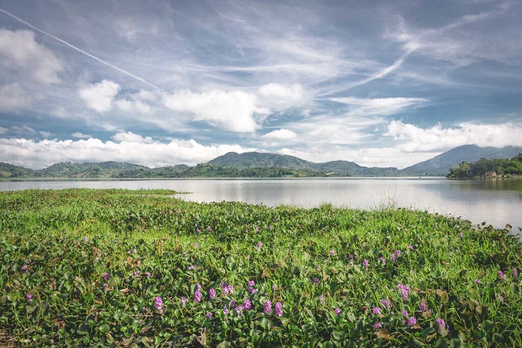 A picturesque view of Lak Lake with grass and flowers in the foreground, calm waters in the middle, and mountains surrounding the lake in the far distance.
