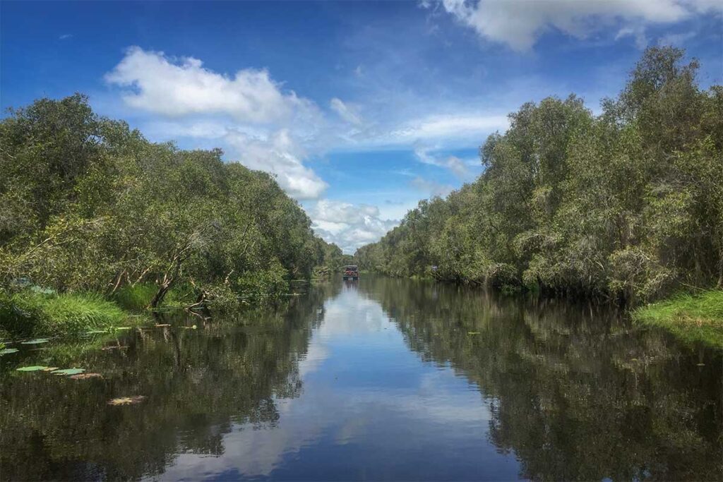 Peaceful waterway through a melaleuca forest in Long An, perfect for boat tours and birdwatching in the Mekong Delta.