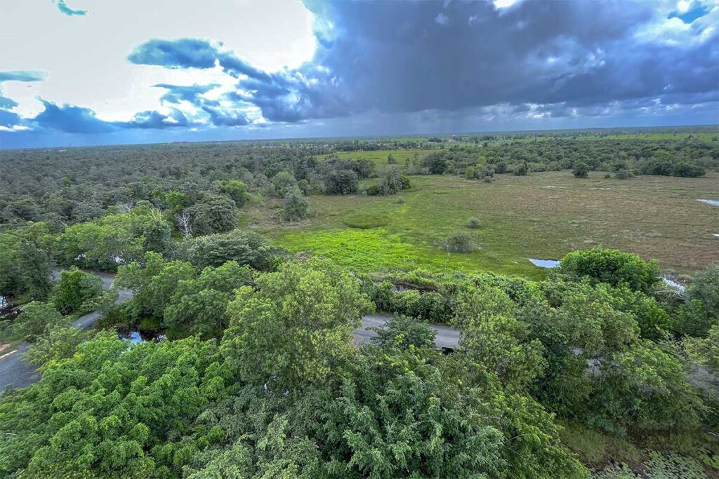 Aerial view over the forest part of Lo Go Xa Mat National Park