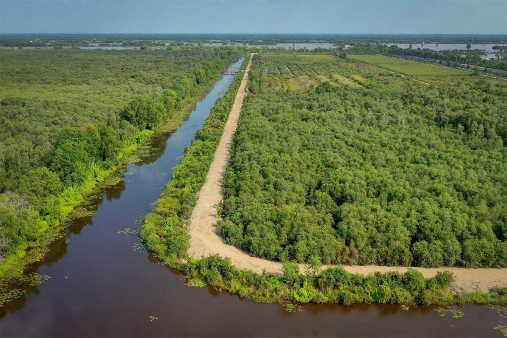Drone view of Lang Sen Wetland Reserve in Long An, showing green forest patches, canals, and rural farmland in the Mekong Delta.