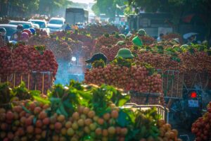 Luchees stacked on motorbikes in the streets of Bac Giang
