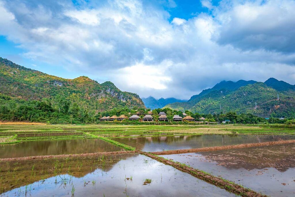 The scenery of rice fields during winter season in Mai Chau