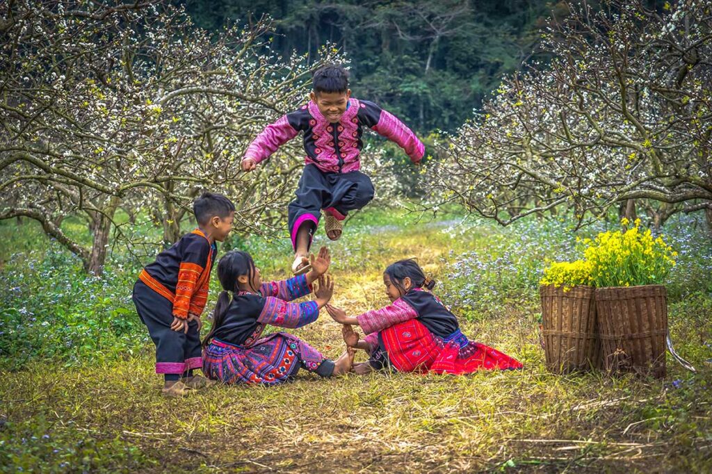 Ethnic minority kids in traditional clothes are playing between the plum trees in blossom in Moc Chau - Son La Province