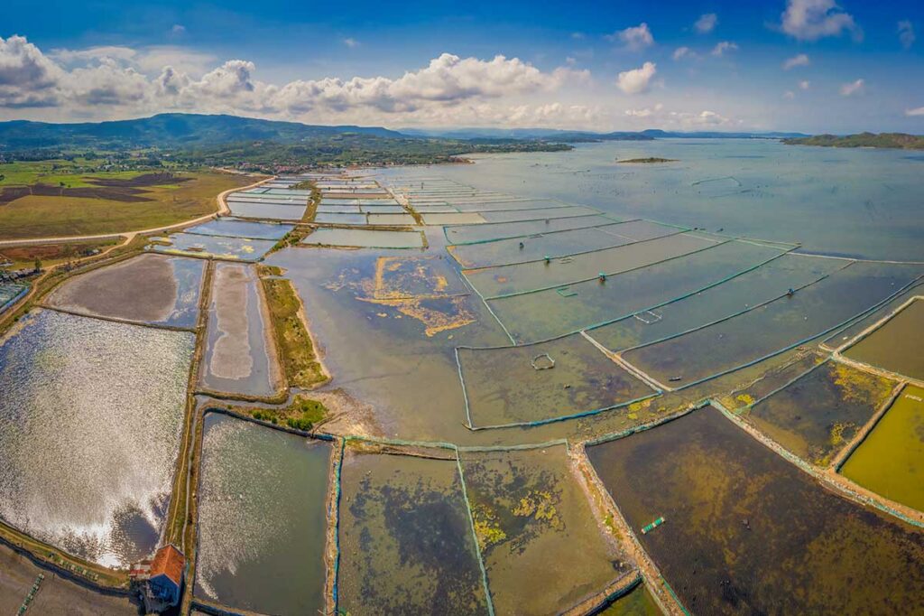 Panoramic view of Song Cau salt fields in Phu Yen, with geometric ponds stretching towards the sea under a bright sky.