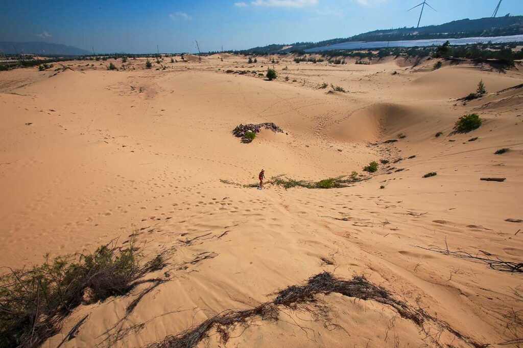 Wide sandy slopes at Phuong Mai Sand Dunes near Quy Nhon with a traveler walking across the golden landscape, surrounded by sparse vegetation and wind turbines in the distance