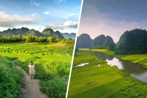 Terraced rice fields in Pu Luong and the limestone river landscapes of Ninh Binh combined in a Pu Luong–Ninh Binh combo tour.
