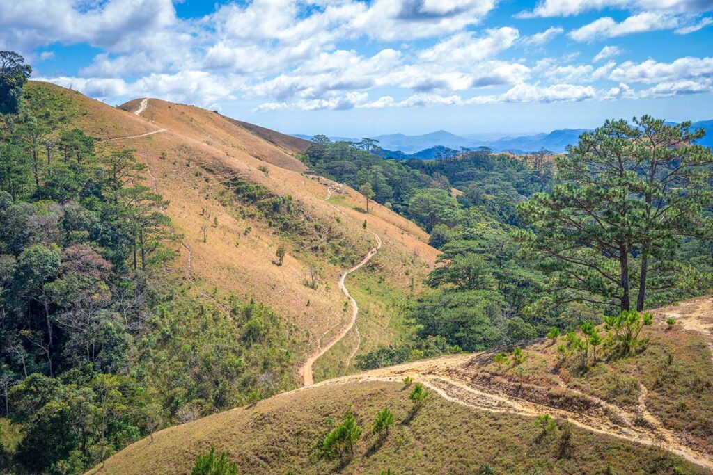 The famous Ta Nang - Phan Dung trekking trail
