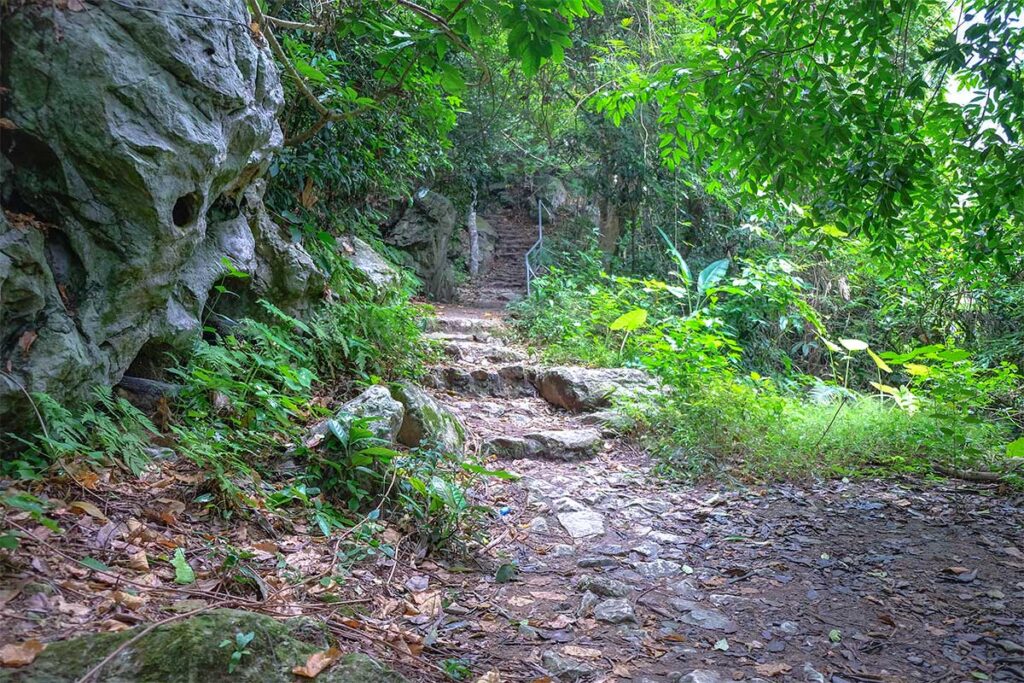 The forest walk leading to Dau Dang Waterfall in Ba Be National Park