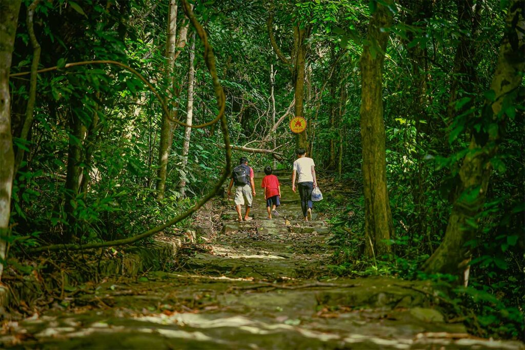 Visitors walking along a jungle path inside Con Dao National Park, surrounded by tall trees and thick vegetation on the route toward So Ray Viewpoint