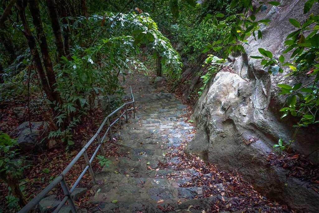 Stone staircase trail descending through dense rainforest in Con Dao National Park, with handrails and large rock formations along the path